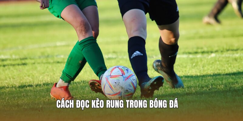 Cách đọc kèo rung trong bóng đá 