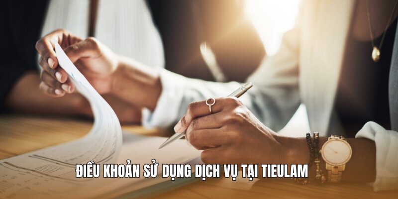 Điều khoản sử dụng dịch vụ tại Tieulam 