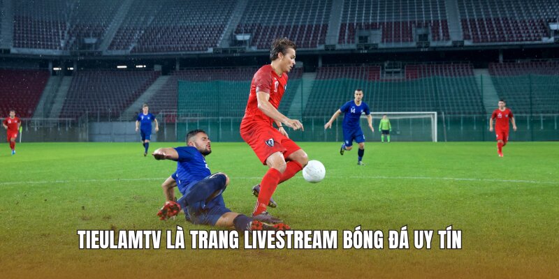 Tieulamtv là trang livestream bóng đá uy tín 