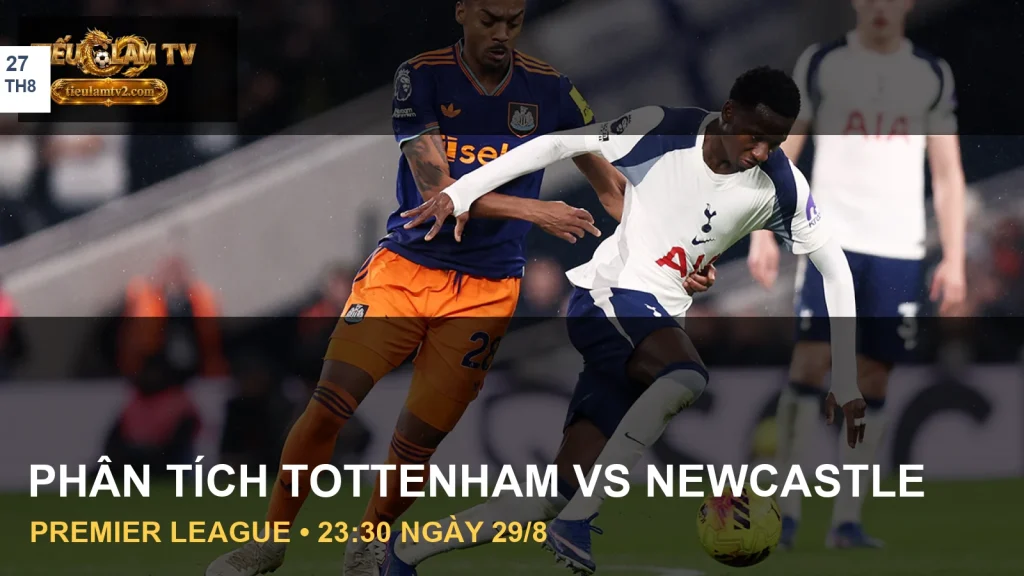 Cầu thủ Tottenham Hotspur và Newcastle United trong ảnh tư liệu trận đấu