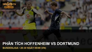 Cầu thủ TSG Hoffenheim vs Borussia Dortmund trong ảnh trận đấu thực tế