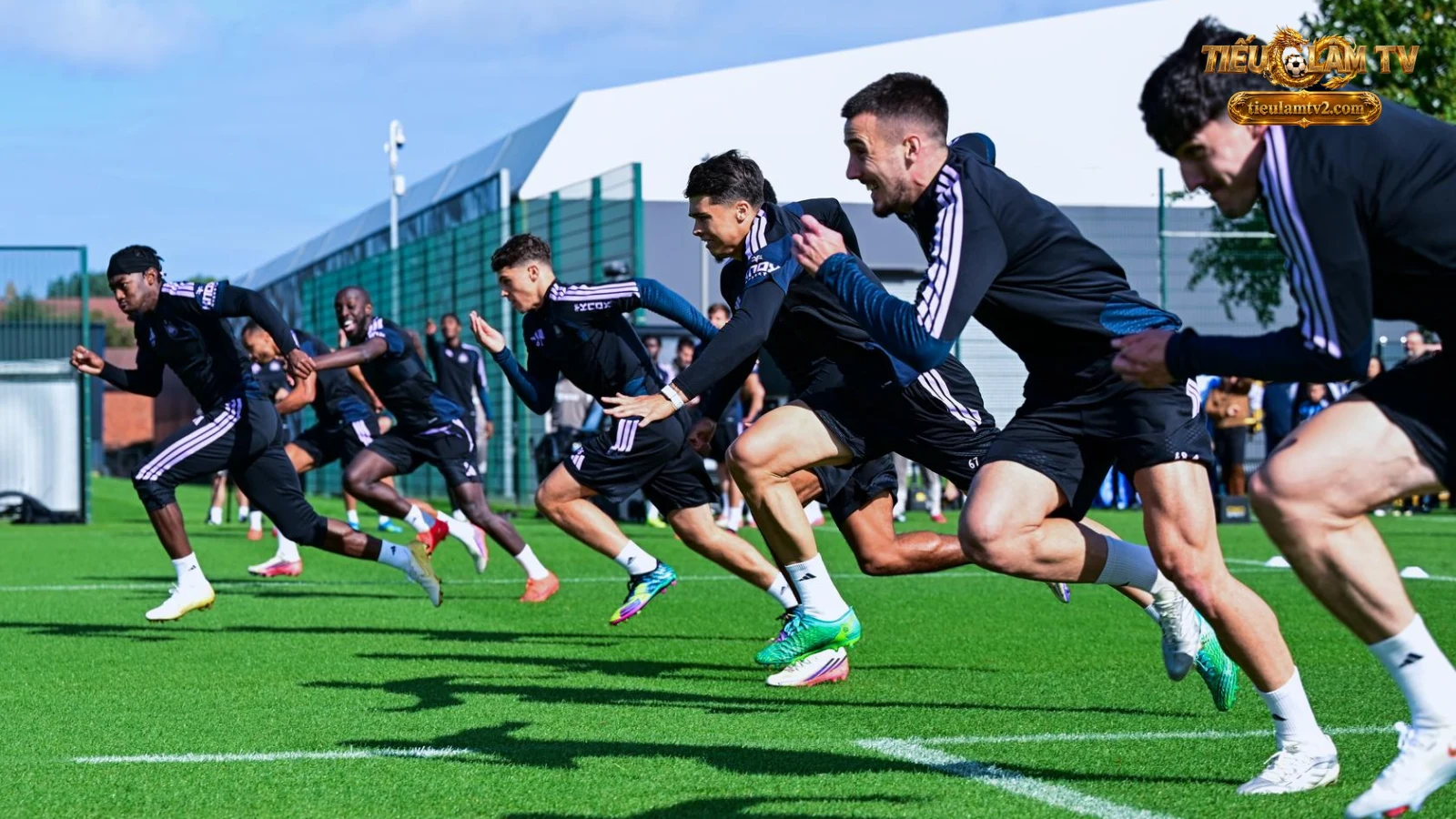 Các cầu thủ Newcastle rèn tốc độ trên sân tập