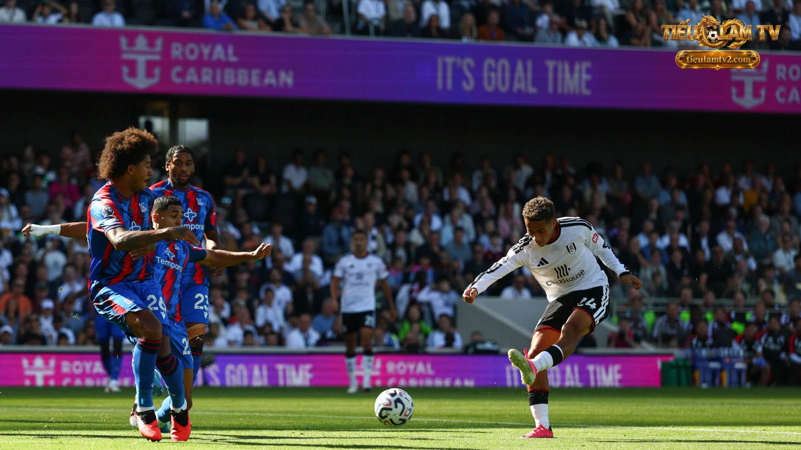 Fulham — ảnh tư liệu của đội bóng