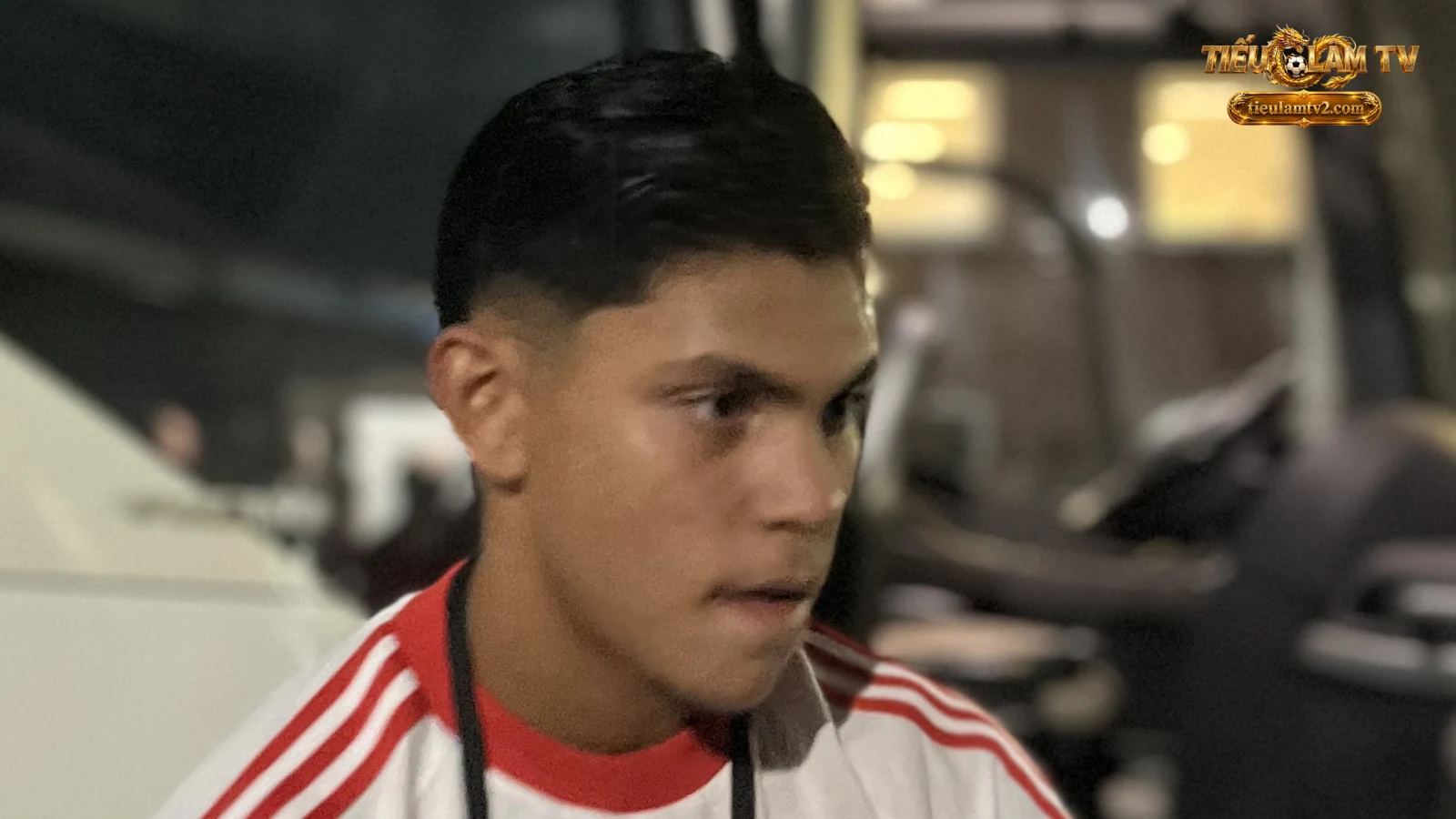 Benfica trong ảnh minh họa trận AC Milan vs Benfica