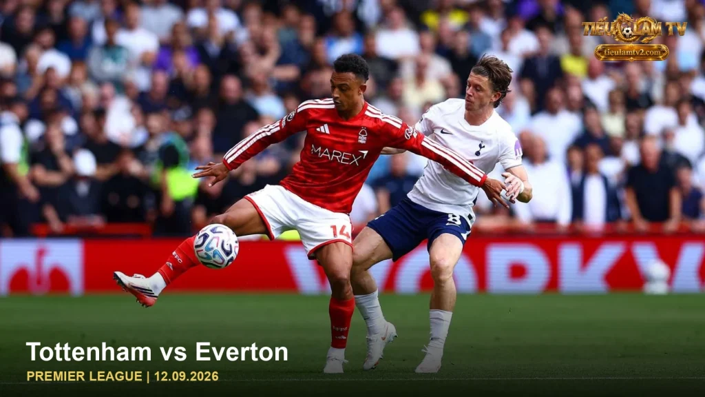 Tottenham vs Everton — ảnh cầu thủ trên sân