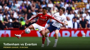 Tottenham vs Everton — ảnh cầu thủ trên sân