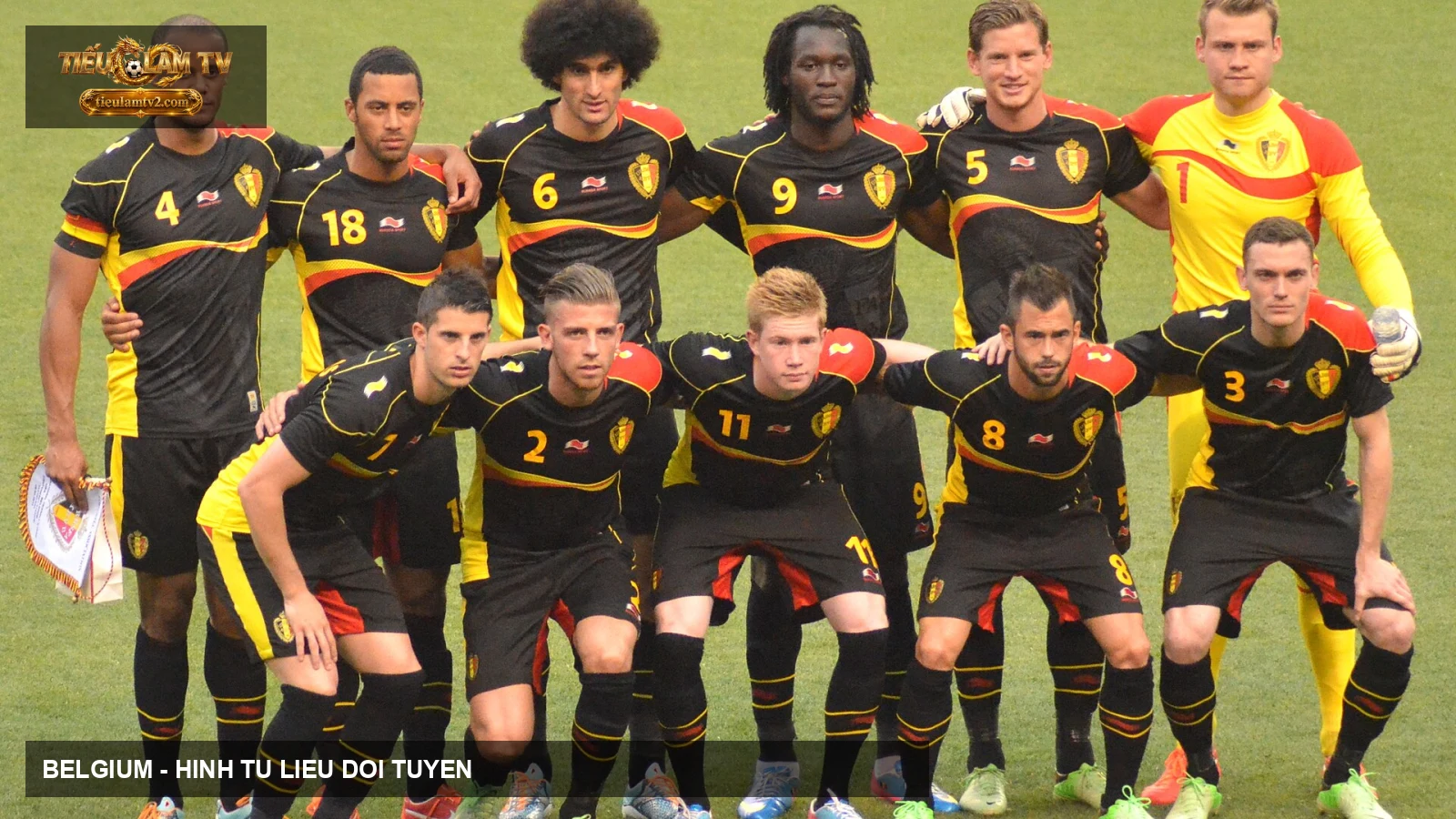 Đội tuyển Belgium trong trận quốc tế năm 2013